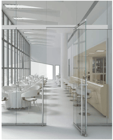 Frameless glass aluminum door for a modern office